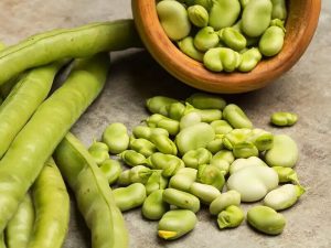 چطور باقلا سبز را برای مدت طولانی نگهداری کنید؟ | از پوست‌گیری تا خشک کردن باقلا