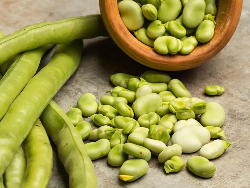 چطور باقلا سبز را برای مدت طولانی نگهداری کنید؟ | از پوست‌گیری تا خشک کردن باقلا