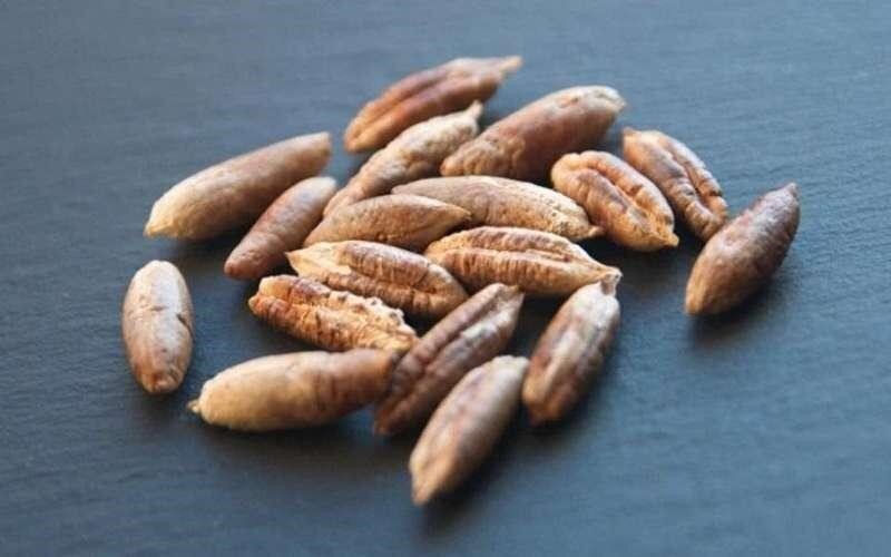 آموزش درست کردن سرمه چشم خانگی با مواد طبیعی