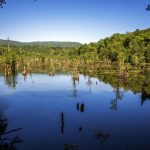 دریاچه ارواح نوشهر؛ سفری به دنیای ترس و سکوت