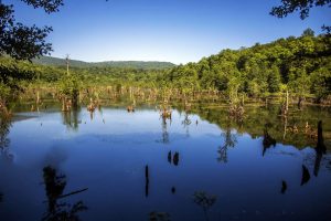 دریاچه ارواح نوشهر؛ سفری به دنیای ترس و سکوت